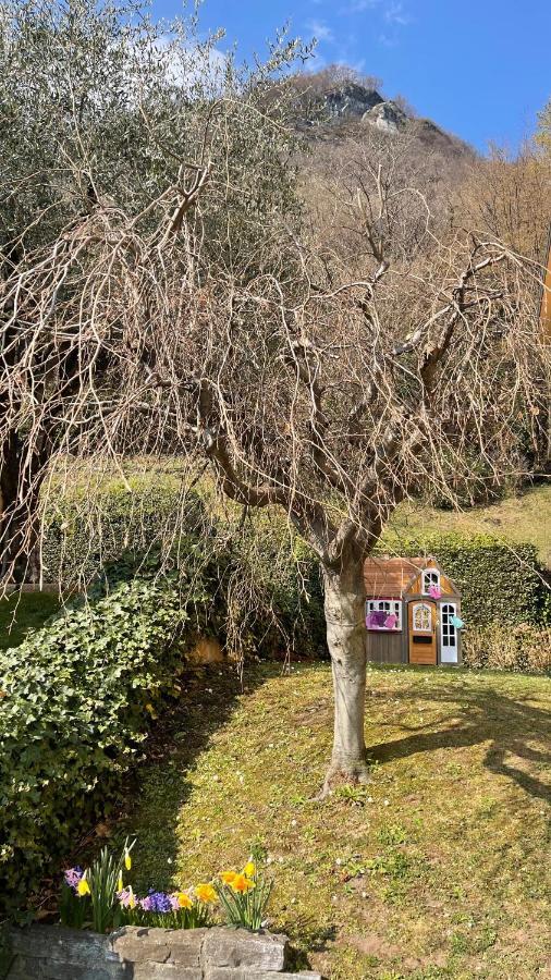 Few Steps To The Heart Of Menaggio, Swimming Pool, Breathtaking View Apartman Kültér fotó